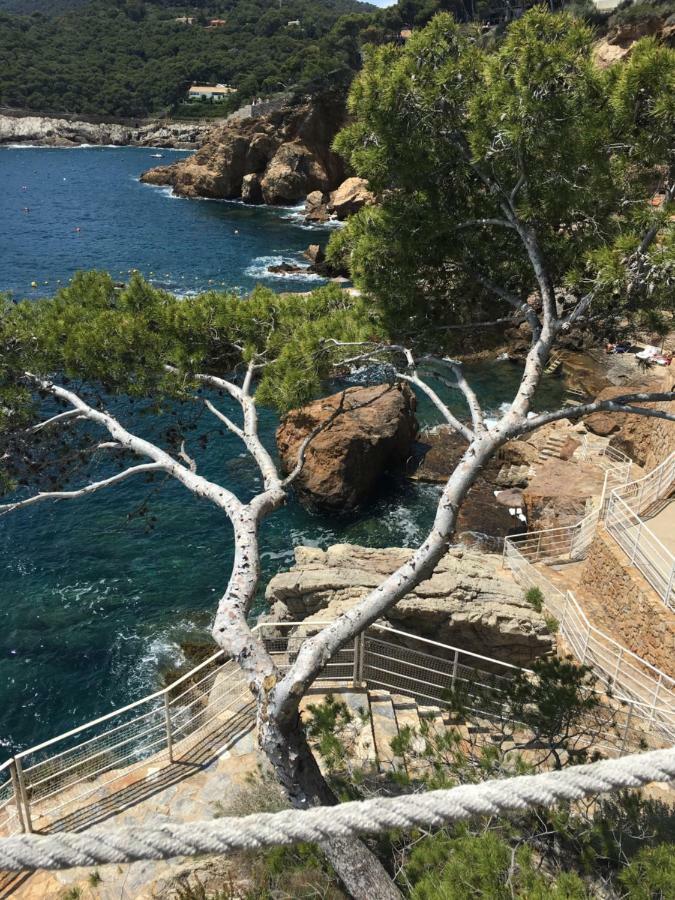Cap Sa Sal - Sa Roca 2 Leilighet Begur Eksteriør bilde